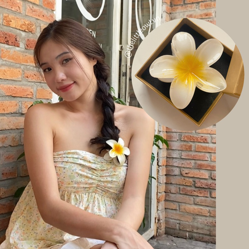 Sứ trắng size đại