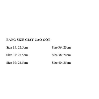 Giày cao gót nữ 7cm, phong cách công sở, chất liệu da mờ cao cấp, bịt mũi G02