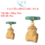 VAN CỬA ĐỒNG MBV- PN 10 DN65 - DN100