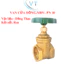 VAN CỬA ĐỒNG MBV- PN 10 DN65 - DN100