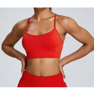 Áo Thể Thao Tập Gym, Yoga Nữ Chéo Lưng Chất Dệt Kim Cao Cấp (ao070)
