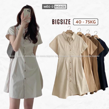 Đầm váy nữ bigsize cổ sơ mi cài cúc chiết eo lưng chun nhiều màu xinh hết nấc váy nữ bigsize 5915