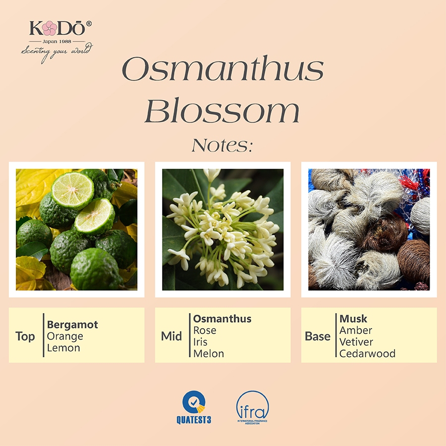 Ảnh Tinh Dầu Nước Hoa Kodo Osmanthus Blossom Hoa Mộc Tê Làm Thơm Phòng, Không Gian -  Classic Collection - Chai 10/50/100ml 2