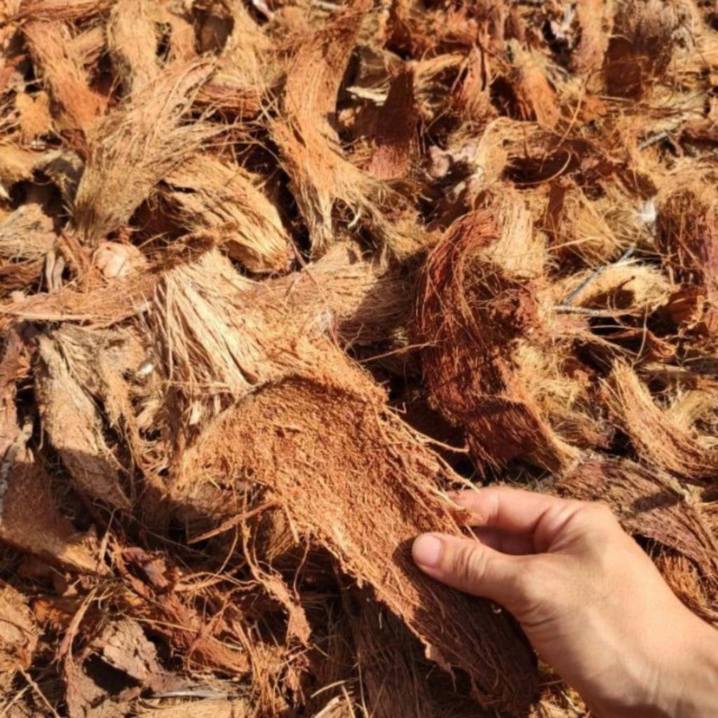 [MUA 5 TẶNG 1] XƠ DỪA CỤC THÔ trồng lan, cây cảnh, kiểng lá 200GR