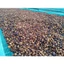 Cà Phê Gió Xưa High Grade,Nguyên hạt, Pha máy đậm chất truyền thống, độ chín tự nhiên >=98%,