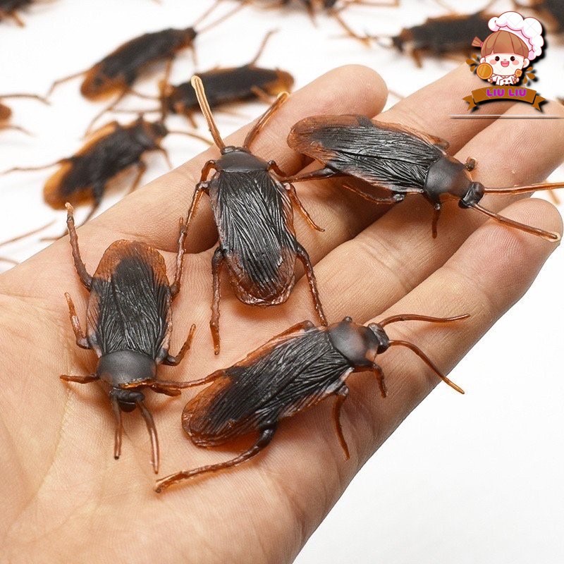 Combo Côn Trùng Giả ⚡ HÀNG ĐẸP ⚡ Gián, Rết, Bọ Cạp, Thạch Sùng, Nhện ... Bằng Nhựa