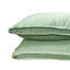 Ruột gối nằm cao cấp Pháp Bamboo Lasante màu xanh vải Tencel 100s gỗ khuynh diệp tự nhiên dày dặn, sang trọng