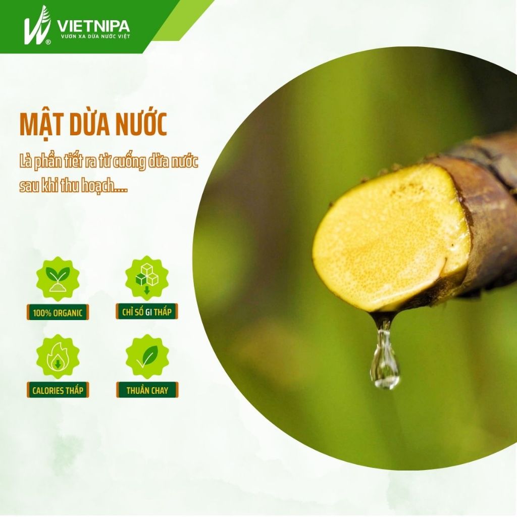 Ảnh Mật dừa nước cô đặc hữu cơ VIETNIPA dùng thay thế mật ong, mật mía, đường ăn kiêng 3