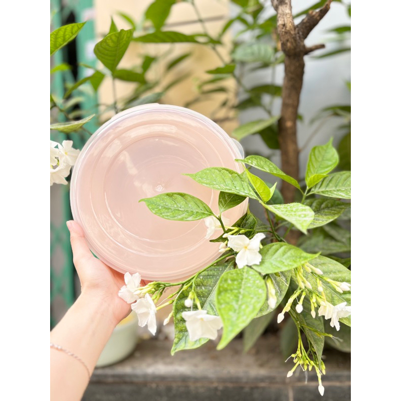 bộ 3 hộp tròn đựng thực phẩm vinasu có nắp đậy size đại