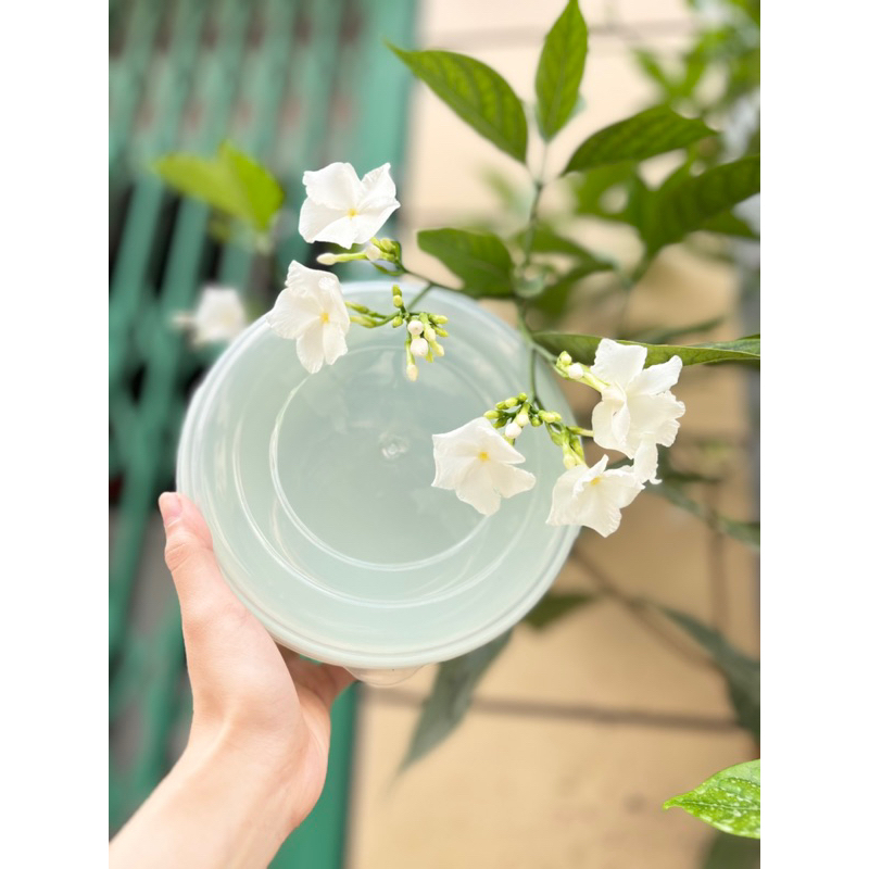 bộ 3 hộp tròn đựng thực phẩm vinasu có nắp đậy size đại