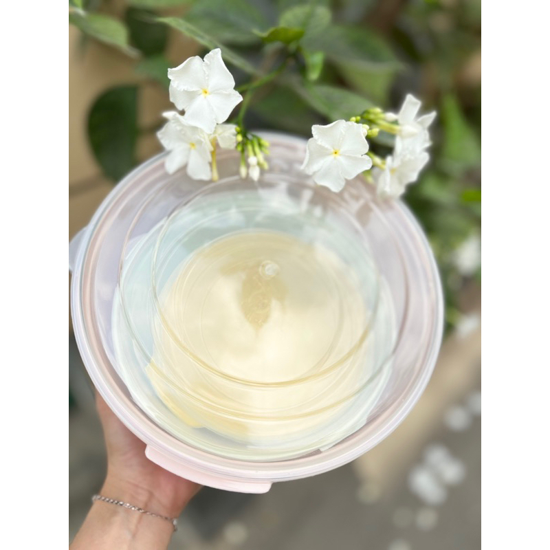 bộ 3 hộp tròn đựng thực phẩm vinasu có nắp đậy size đại