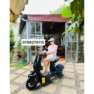 Thảm chân xe điện type 1, type 2