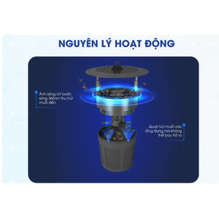 Đèn Bắt Muỗi Rạng Đông DBM01 Công Suất 5W, Không Ồn, Không Mùi, Dễ Sử Dụng, An Toàn Cho Gia Đình