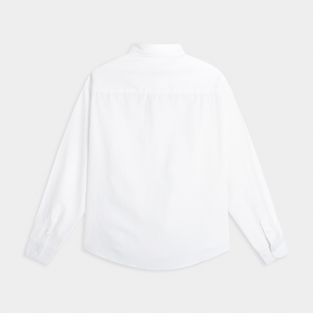 Ảnh Áo Sơ Mi Tay Dài Teelab Basic Oxford Shirts Unisex Form Oversize Local Brand SS066 3