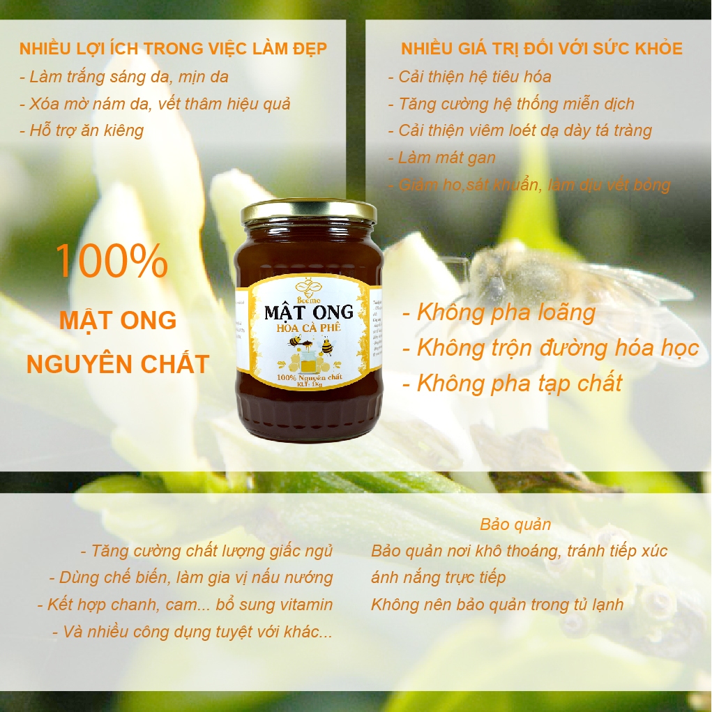 Ảnh Combo Mật ong hoa cà phê 1kg +Trà gừng 500g - Nguyên chất Beemo 4