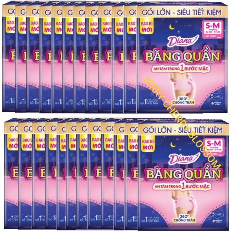 Combo 24 gói băng vệ sinh dạng quần size SM 5 chiếc/gói