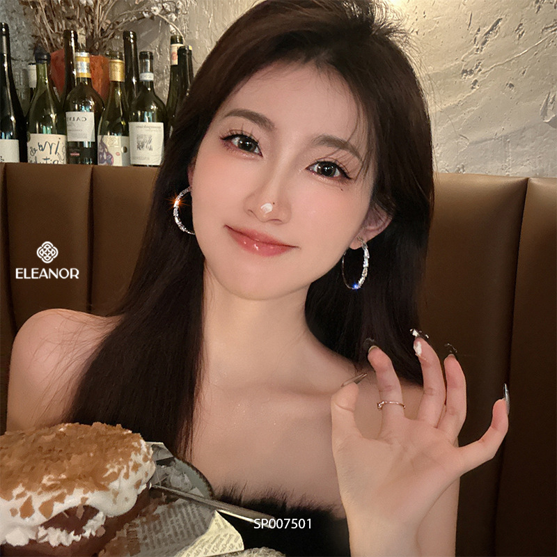 Bông tai nữ chuôi bạc 925 Eleanor Accessories khuyên tai tròn đính đá phụ kiện trang sức 7501