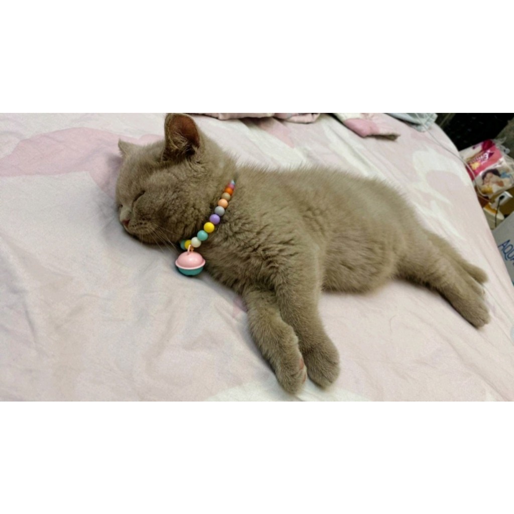 Size XS - Vòng Cổ Pastel Cho Mèo Con - Chiều Dài 15cm+5cm Dây Nối