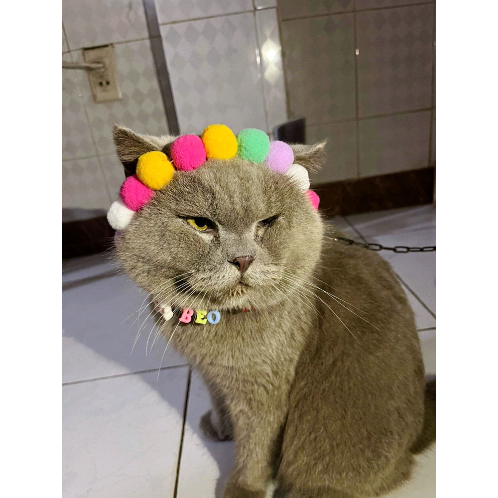 Vòng Cổ Pom Pom Cho Mèo