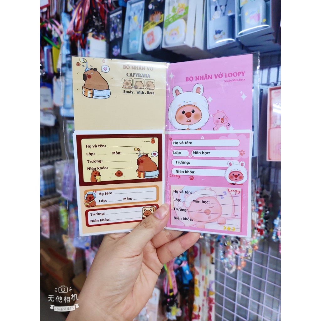 Sét 20 nhãn vở Capybara, Hồng Loopy, đồ dùng học tập | Shopee Việt Nam