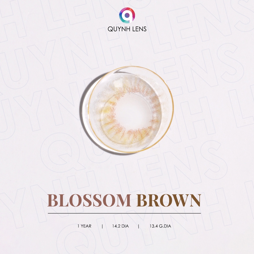 Ảnh Kính áp tròng QUYNH LENS Blossom Brown 0-8 độ 1