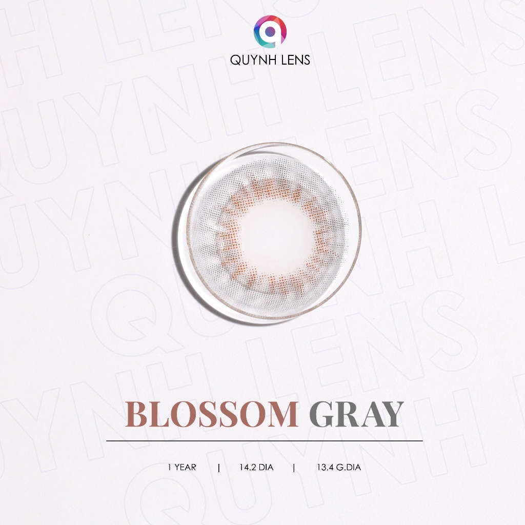 Ảnh Kính áp tròng QUYNH LENS Blossom Gray 0-8 độ 1