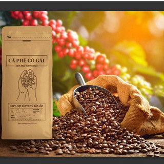 1kg cà phê hạt Robusta, cafe hạt nguyên chất  dak lak rang mộc CÔ GÁI[ tặng kèm hộp 10 chiếc khẩu trang không van kenko]