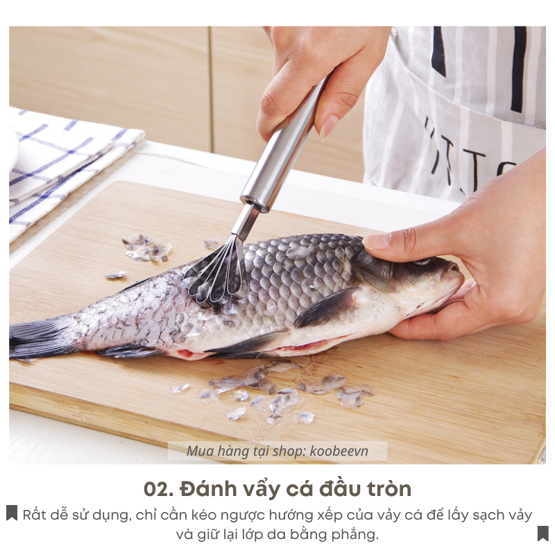 Dụng Cụ Nạo Dừa, Đánh Vảy Cá Kiêm Nạo Dừa, Nạo Ruột Bí Đỏ Chất Liệu Inox Không Gỉ Bền Đẹp (SC04)