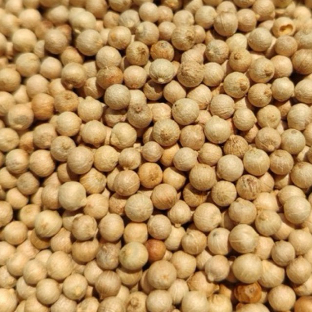 TIÊU SỌ LOẠI 1 (250G-500G) | Shopee Việt Nam