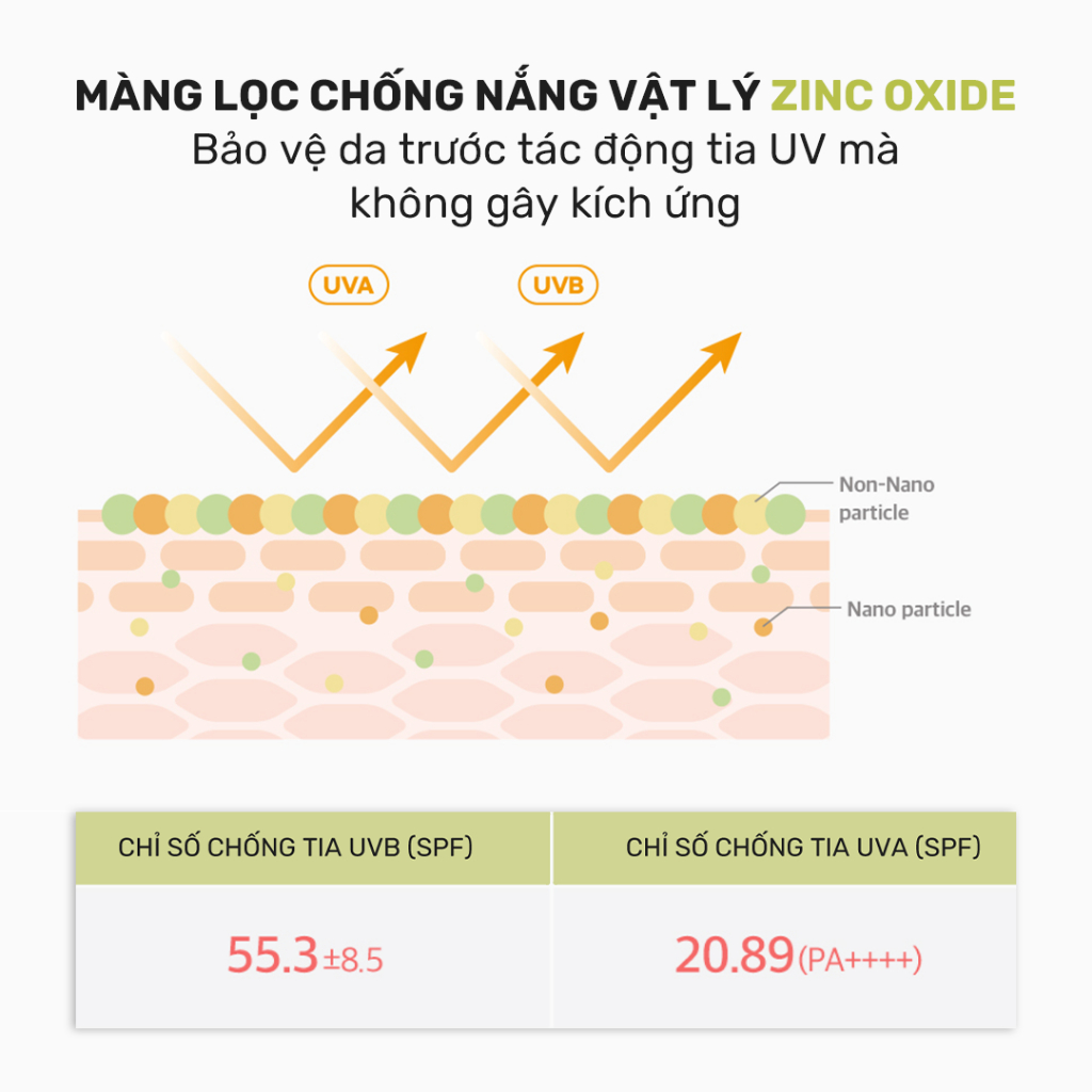 Ảnh Kem chống nắng Round Lab Birch Juice Mild-up Sunscreen 50ml kiểm soát dầu thừa bã nhờn 3