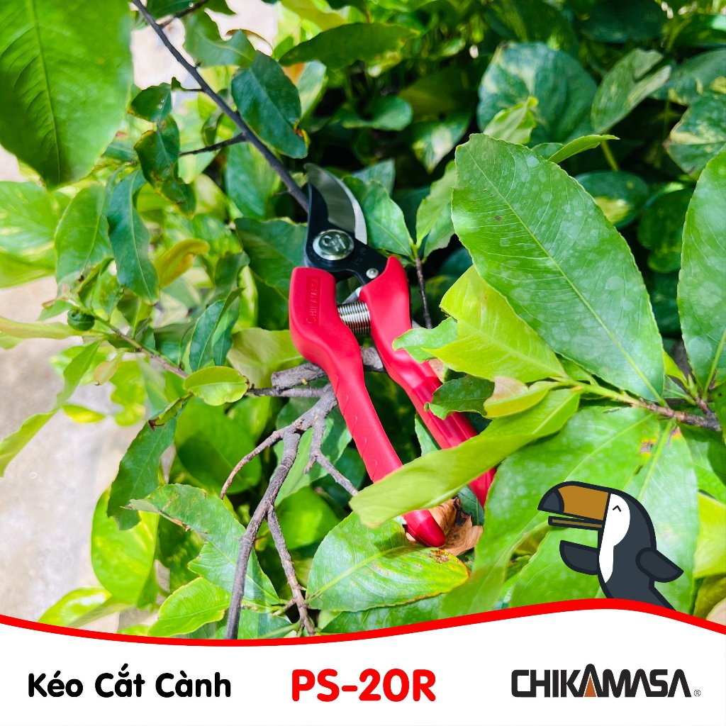 Kéo cắt cành Chikamasa PS-20R chiều dài lưỡi 50mm- lưỡi  thép carbon chất lượng cao