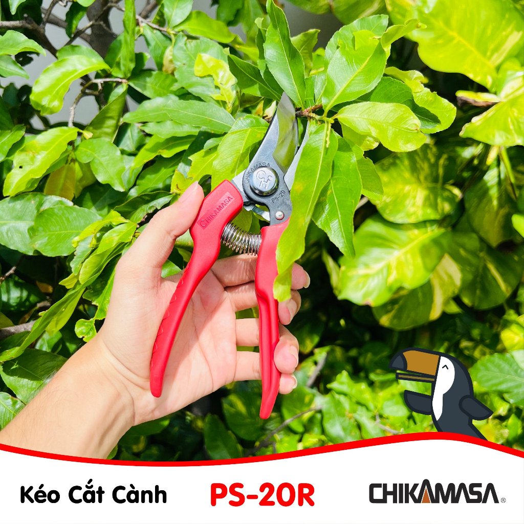 Kéo cắt cành Chikamasa PS-20R chiều dài lưỡi 50mm- lưỡi  thép carbon chất lượng cao