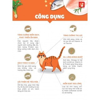 Thức Ăn Hạt Khô Cho Mèo Catsrang - Mọi Lứa Tuổi