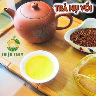 Cây Vối Nếp Cỡ Lớn THIỆN FARM 80cm, thu hoạch ngay, giải nhiệt, thanh lọc cơ thể, trồng chậu