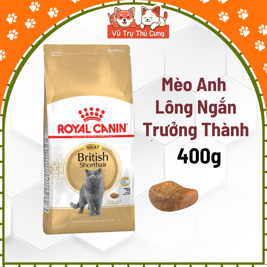 Hạt Royal Canin British Shorthair dành cho Mèo Anh Lông Ngắn trưởng thành 400g