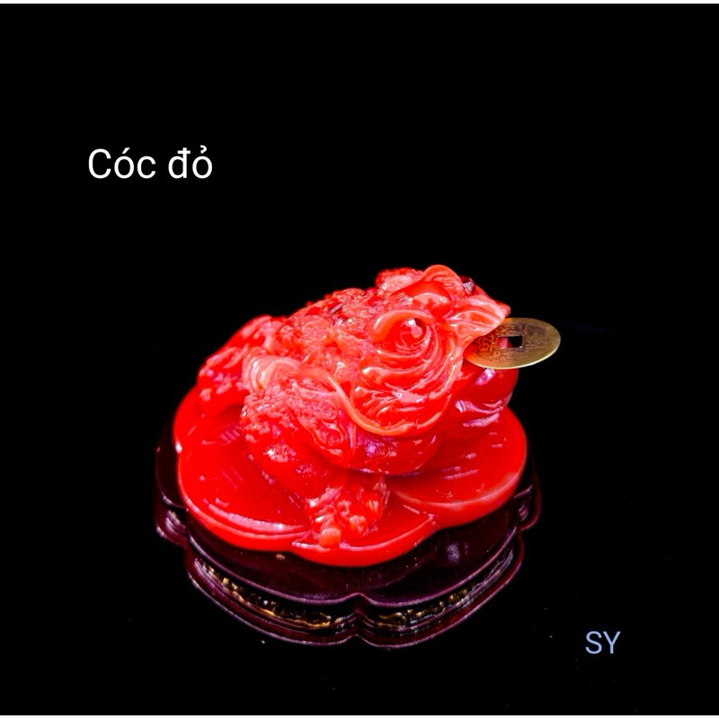Cóc ( thiềm thừ ) bột đá cao cấp 🌼🌼🌼