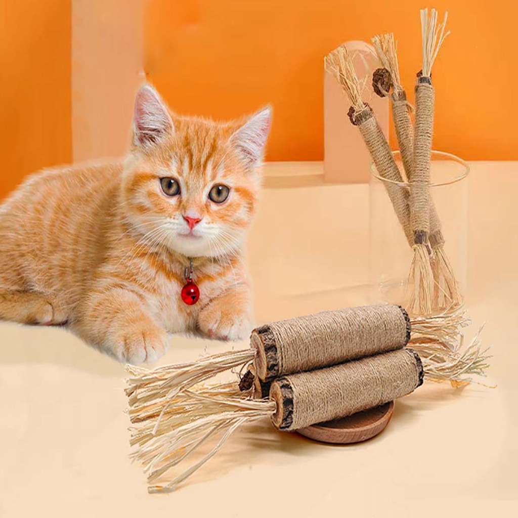 Que Gỗ Catnip Biscuit Cỏ Bạc Hà Cho Mèo Liếm Đồ Chơi Hay Gặm Chó Poodle Phụ Kiện Thú Cưng Cún Con Ngứa Răng Tự Chơi Cắn