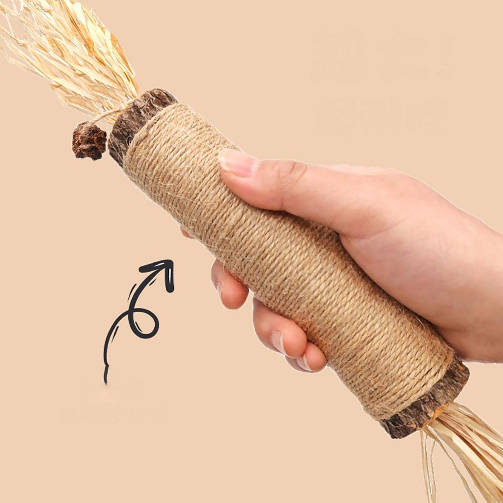 Que Gỗ Catnip Biscuit Cỏ Bạc Hà Cho Mèo Liếm Đồ Chơi Hay Gặm Chó Poodle Phụ Kiện Thú Cưng Cún Con Ngứa Răng Tự Chơi Cắn