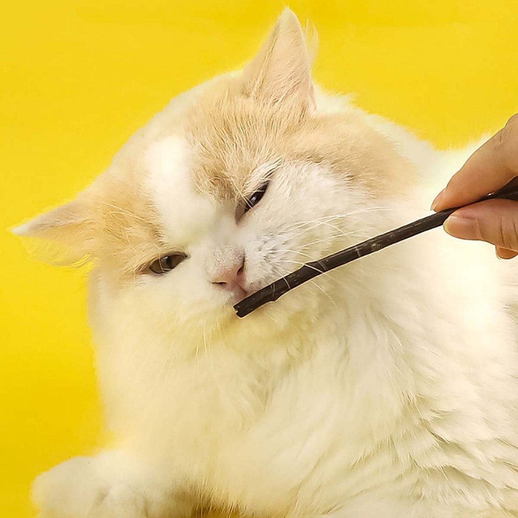 Que Gỗ Catnip Biscuit Cỏ Bạc Hà Cho Mèo Liếm Đồ Chơi Hay Gặm Chó Poodle Phụ Kiện Thú Cưng Cún Con Ngứa Răng Tự Chơi Cắn
