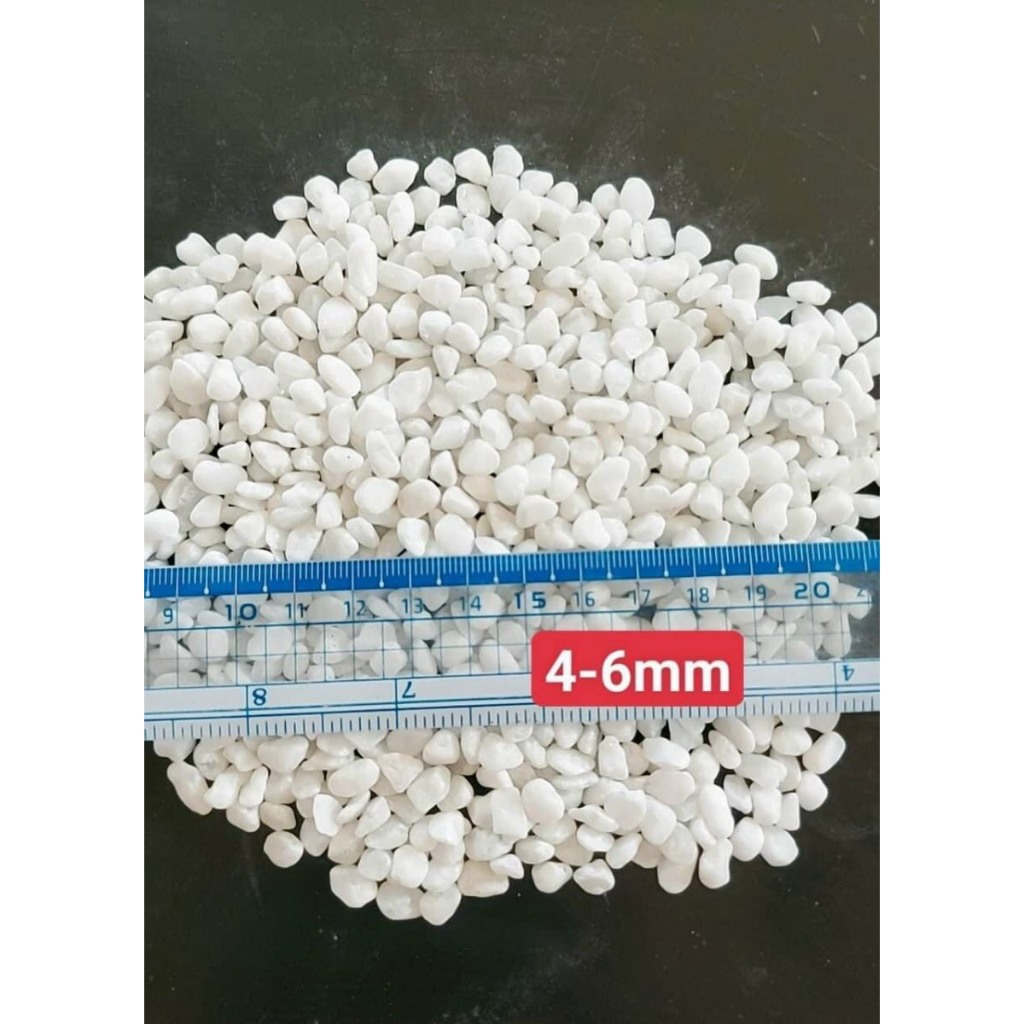 Sỏi trắng trang trí sân vườn tiểu cảnh chậu cây (lẻ 1kg)