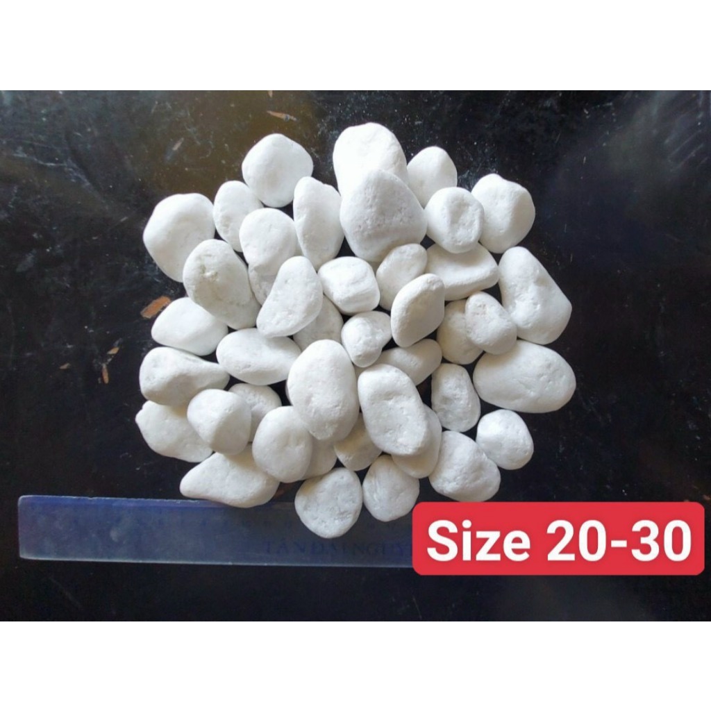 Sỏi trắng trang trí sân vườn tiểu cảnh chậu cây (lẻ 1kg)