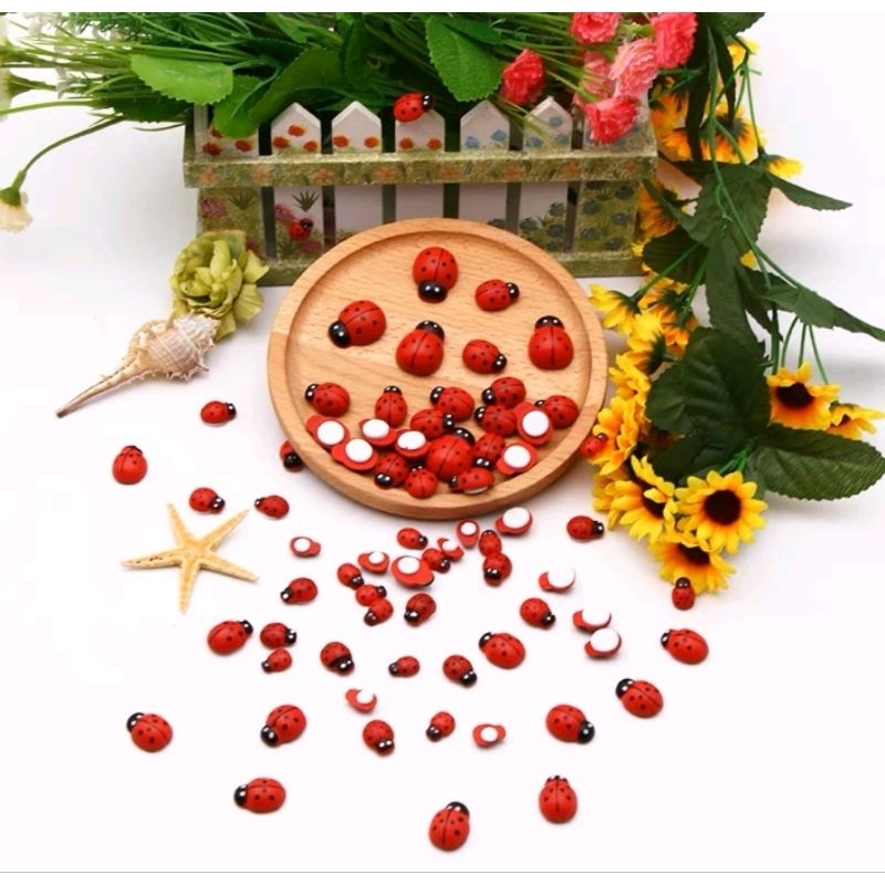 Bọ Rùa, Bọ Cánh Cam Trang Trí Tiểu Cảnh , Phụ Kiện Terrarium