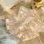Quần lót nữ su lụa đáy lót cotton mỏng nhẹ thoáng khí thoải mái độ đàn hồi cao DEVARI L2433