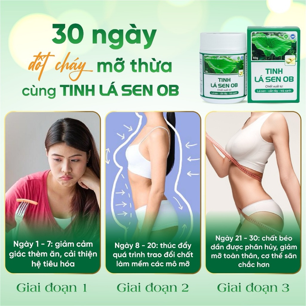 Ảnh Tinh lá sen tươi OB Bột Cần Tây Giảm Cân Giảm Mỡ Bụng Detox Trà Xanh (Hộp 50g) 1