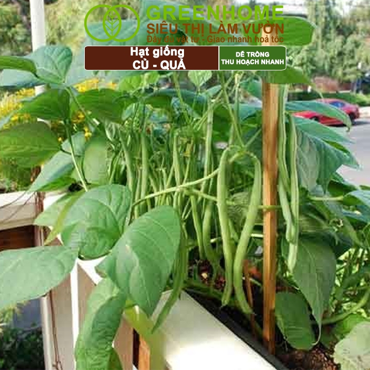 Ảnh Hạt giống Greenhome, Rau Ăn Lá, Gia Vị, Củ Quả, Các Loại Hoa, Trồng Quanh Năm, Năng Suất Cao 4