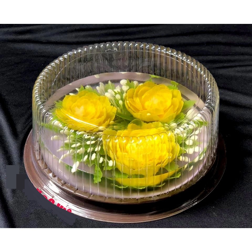 [10-50 cái] Hộp nhựa nắp đậy đế đen A024 đường kính 20cm - BB205A