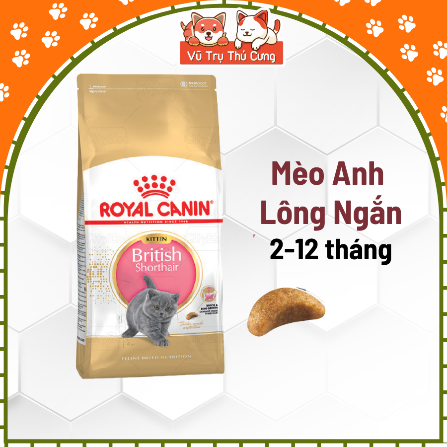 Hạt Royal Canin British Shorthair Kitten Dành Cho Mèo Anh Lông Ngắn 400g