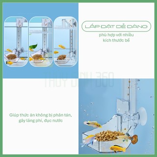Dụng Cụ Cho Cá Ăn Jeneca - Máng trượt Acrylic cho cá ăn Tiện Lợi - Giúp Hồ Cá Không Bị Bẩn