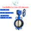 Van Bướm Tay Xoay SW thân gang DN40 - DN200