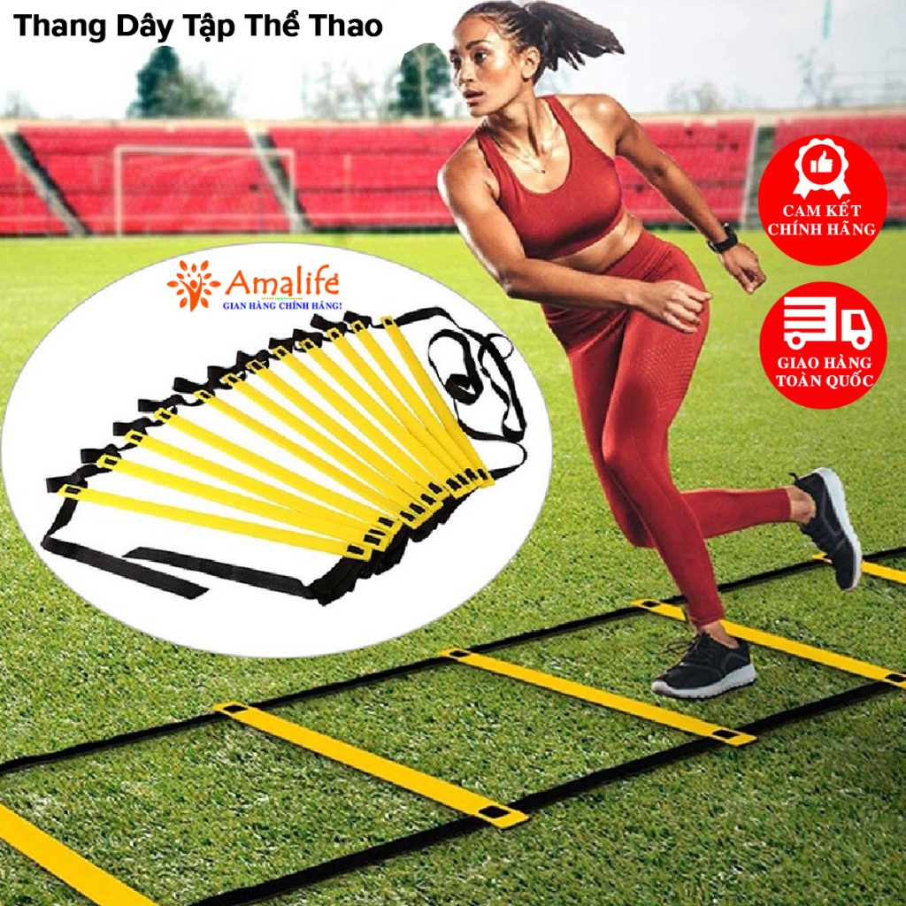 Ảnh Thang Dây Chơi Thể Thao Dài 3m 6m Nối Dài Thêm, Thang Dây Tập Đá Bóng Tập Thể Lực, Võ Thuật, Gym Chính Hãng Amalife 1